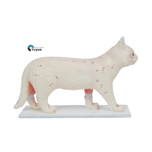 نموذج تعليمي لنقاط الوخز بالإبر للقطط للتدريب البيطري - Product Image 1