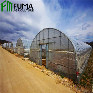 Secador agrícola multicanal de gran tamaño con película de PE de una sola capa, tipo invernadero, de bajo consumo energético, para chiles - Product Image 6