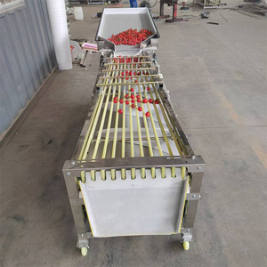 Máquina Clasificadora de Frutas Multifuncional, Máquina Clasificadora de Frutas y Verduras, Máquina Clasificadora de Lichis, Máquina Clasificadora de Jujubes, Máquina Clasificadora de Aceitunas - Product Image 2