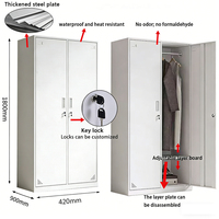 Armoire métallique à 2 portes, casier de rangement en métal, armoire en acier, design de garde-robe, adapté à une utilisation dans les écoles