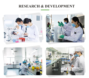 Buy High Quality Nootropic <strong>4</strong>-<strong>dma</strong>-<strong>7</strong>,<strong>8</strong> <strong>Dhf</strong> Powder Cas 1205548-00-0 - Product Image 6