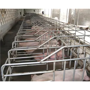 Galvanized Sow pig farrowing crate pig Farming Equipment pig farrowing pens cage box