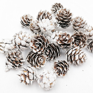 Adornos de Piñas de Pino en Miniatura de 1.5-4cm, Madera Seca Blanca, Decoración para Árbol de Navidad, Suministros para Manualidades - Product Image 1