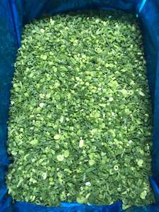 IQF dondurulmuş taze soğan - Product Image 3