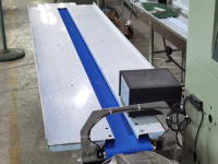 Machine à emballer les aliments les plus populaires Machine à emballer les biscuits Fortune
