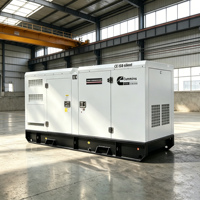 Générateur diesel à huile lourde Lingge 125 kVA, 460 V, 3 phases, 60 Hz