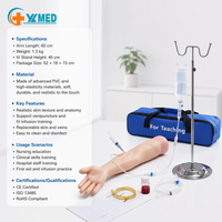 Modèle d'entraînement à la ponction artérielle du bras et à l'injection intramusculaire, système vasculaire artériel, enseignement des sciences médicales CE/ISO