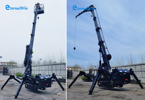 3T 5T בום טלסקופי מיני זחל ספיידר מנוף למכירה - Product Image 5