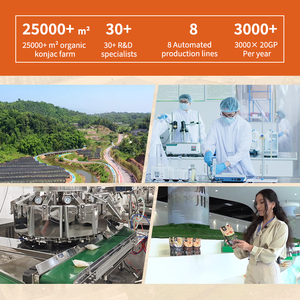 Fideos de Konjac Secos con Sabor a Algas Marinas, Aptos para Dieta <span class=keywords><strong>Keto</strong></span>, a Base de Plantas, Sin Grasa, Bajos en Calorías, Sin Gluten, Sin Azúcar, Caja de Pasta para Veganos - Product Image 6