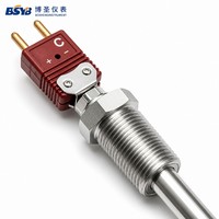 Threaded C Type W-Re Thermocouple 0-1900°C