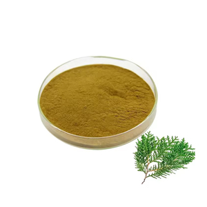 Hunan Huakang tanaman alami pertumbuhan rambut bahan aktif bubuk ekstrak daun <span class=keywords><strong>Platycladus</strong></span> orienalis - Product Image 3