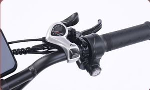 Dropshipping Affichage Rainbow Range Long Aima Cart Seat Spare Nepal Prix India Walking Scooter Bike Electric - Product Image 3