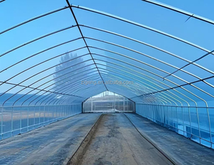 Walk-in Polytunnel Tunnel <span class=keywords><strong>Serre</strong></span> En Plein Air Plante Cultiver Tente <span class=keywords><strong>Serre</strong></span> <span class=keywords><strong>Serre</strong></span> Ronde Pignon Maison Jardin Chaleur Hangar - Product Image 1