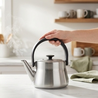 Bouilloire sifflante moderne en acier inoxydable 3L, finition mate brossée, ergonomique, compatible gaz et induction, pour la maison et les hôtels, pour faire bouillir l'eau