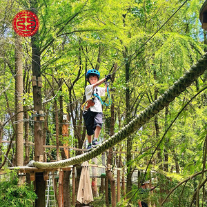Aérienne Forêt Aventure Treetop Trekking Corde Course Expansion Série Jungle Aventure Escalade Aire De Jeux Équipement - Product Image 1