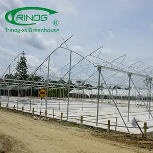 Trnog manufactured large size agricultural tropical used commercial greenhouse for hydroponic vertical growing