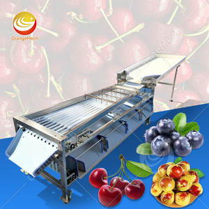 Machine de tri et de calibrage ORME pour l'ail, les tomates, les kiwis et les légumes, avec fonction de cire et de calibrage – Prix - Product Image 1