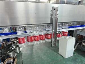 Ligne de lavage, de remplissage et de capsulage des bouteilles tout-en-un: rapide, précis! Idéal pour l'embouteillage d'eau. Maximisez vos profits maintenant!" - Product Image 3