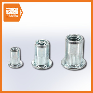 Écrous à riveter à tête plate Jingqi Lifeng M3 M4 M5 M6 M8 M10, zingués, à bride, norme DIN - Product Image 2