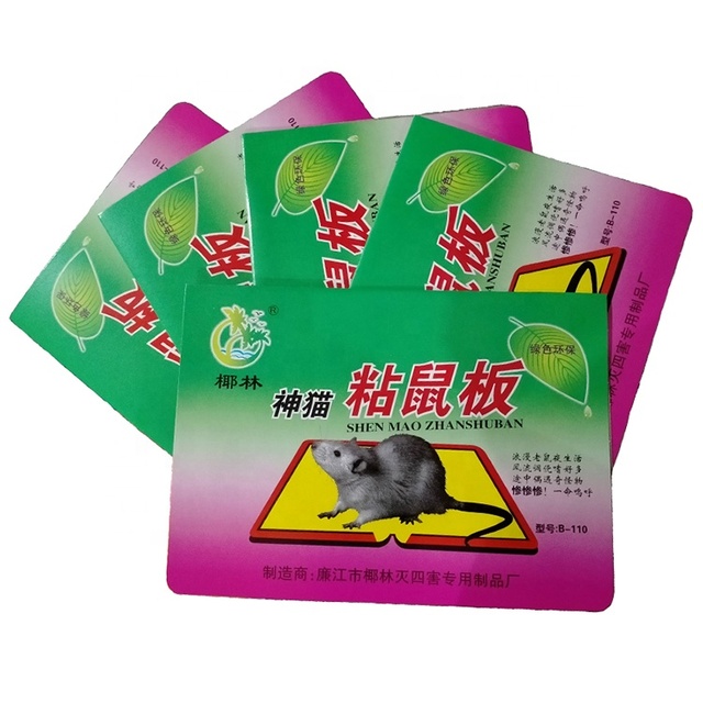 Top Quality Mousetrap Sticky Rat Mice Glue Mouse Trap Board with Wholesale Price