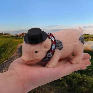 Poupée réaliste de haute qualité Muecas, corps entier, original, <span class=keywords><strong>b</strong></span>é<span class=keywords><strong>b</strong></span>és reborn, jouet pour enfants, cochon en silicone - Product Image 5