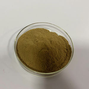 Bitki özü Angelicae Sinensis kök ekstresi Liguistlide 1% <span class=keywords><strong>Angelica</strong></span> özü - Product Image 3