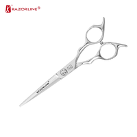 RK129 SUS 440A Ciseaux de coupe de cheveux d'usine en acier inoxydable Ciseaux de coiffure OEM