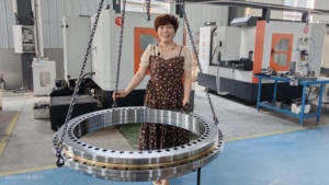 EFANT 축방향 레이지 수잔 베어링 YRT50 YRT260 YRT325 YRT395 YRT80 P4 GCr15 슬루잉 링 베어링 - Product Image 2