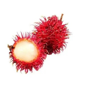 สารสกัดรัมปูตันคุณภาพสูง ผงรัมปูตัน - Product Image 3