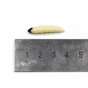 Selco mini señuelo de pesca biónico abeja artificial <span class=keywords><strong>polilla</strong></span> larva wiggler resplandor <span class=keywords><strong>gusano</strong></span> larva pesca pez forma de señuelo suave - Product Image 5