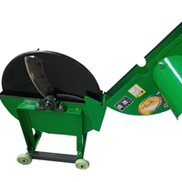 Fabrieksdirect nieuwe motor aangedreven bananenboom- en stengelsnijmachine 1000kg/uur voor gebruik in fruitverwerkingsbedrijven