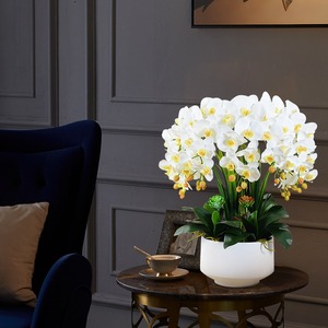 2025 Sang Trọng Lớn Bất Cảm Ứng Phong Lan Nồi Gốm Cho Khách Sạn Nhà Trang Trí Đám Cưới Trên Phục Sinh Giáng Sinh Trở Lại Trường Học Trung Quốc Năm Mới - Product Image 5