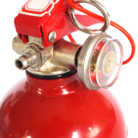 Mini aspirateur de feu portable, poudre abc, pour la sécurité de la maison et de la voiture, nouveau design livraison gratuite
