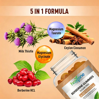 Hoytone Gummies sans sucre à la berbérine 1200mg, Cannelle de Ceylan, Chardon-Marie, Complexe de Magnésium, Soutien Métabolique, Végétalien 2
