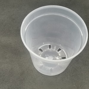 Slotted Planter <b>for</b> Indoor Plants - Orchids, Succulents, <b>Herbs</b>, and More - Product Image 1
