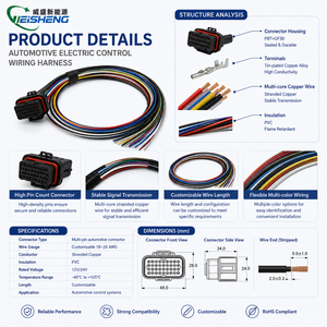 34P MIL-W22759/16 <span class=keywords><strong>2</strong></span>.5m G4X ECUs Faisceau de câblage universel pour ECU avec fil Tefzel enduit ETFE pour le sport automobile - Product Image 3