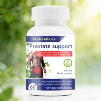 Exportation transfrontalière : Soutien de la prostate pour adultes avec extraits végétaux standardisés, zinc et vitamine B6 – 60 capsules