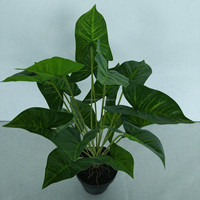 Petit bonsaï en soie artificielle, feuille de Colocasia Taro, 50 cm, pour décoration de table de mariage, maison, bureau