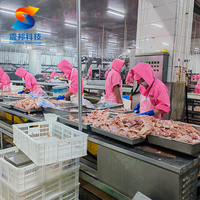 ZB Abattoir industriel de volaille Écailleur de volaille et plumeur Abattage de poulet