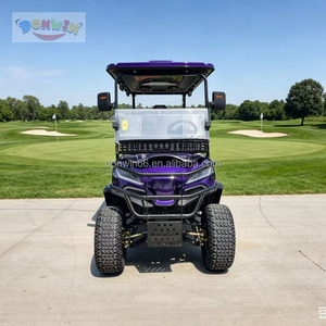 Carrito de Golf Eléctrico 4x4 con 4 Asientos, Todoterreno, Motor de 5KW, Batería de Litio de 60V, Compatible con Villas Vacacionales, Controlador Curtis, Aluminio - Product Image 3