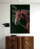 Lukisan Seni Dinding Kaca Temper Kristal 3D Hewan Kuda Modern Kustom Terlaris