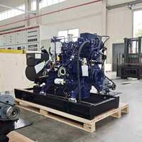 Grupo Electrógeno Diésel Silencioso con Motor Cummins de 200 kW 250 kVA de Alto Rendimiento, Disponible en 50 Hz y 60 Hz, Generadores Industriales de Emergencia