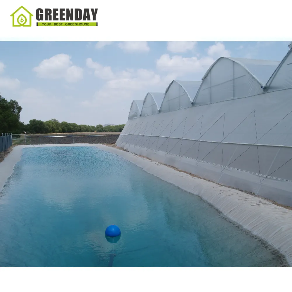 GREENDAY-invernaderos de película plástica para agricultura, proyectos profesionales, sistema de cultivo hidropónico