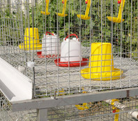 Meilleur Prix Cages à Poulets de Type H par Étage en Plastique pour Usage Domestique, Cages en Batterie pour Poulets de Chair