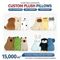 Coussin en peluche personnalisé Capybara Grenouille Chat, Réplique de conception 1:1 OEM ODM, Doux, Animal en peluche rembourré, Décoration d'intérieur, Jouet en peluche