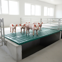 Plancher en plastique à lattes antidérapant pour porcs, idéal pour les truies, les porcelets et les cases de mise bas – Équipement d'élevage porcin