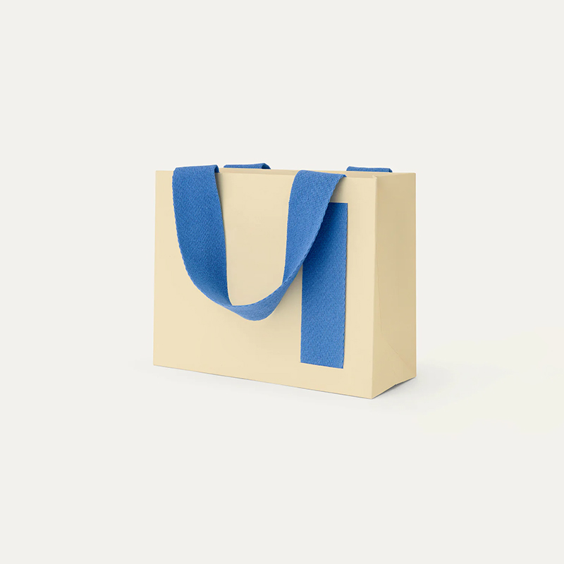 Gift Paper Bag With Custom Logo Printing Recycled Paper Packaging Shopping Bag