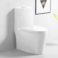 Sanitaires colorés bleu ciel noir, WC en céramique monobloc, toilettes colorées