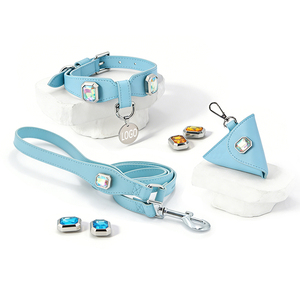 Collier pour <span class=keywords><strong>chien</strong></span> en cuir véritable imperméable avec breloques magnétiques DIY, accessoires détachables et remplaçables, collier pour animal de compagnie personnalisé de luxe - Product Image 1