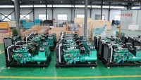 Groupe électrogène diesel fiable de 30 à 2000 kW, monophasé ou triphasé, alternateur industriel haute efficacité